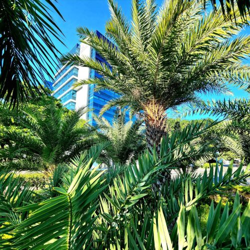 b997d6dc-f32a-4b47-acb4-30358a213c82